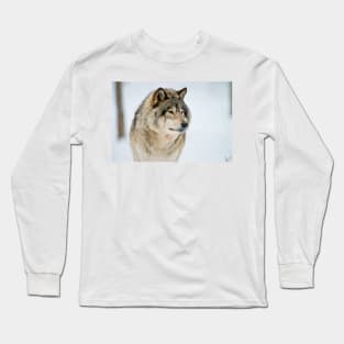 Gray Wolf Long Sleeve T-Shirt